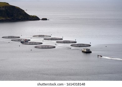 Fishing Aquaculture On The Isle Of Skye In Scotland