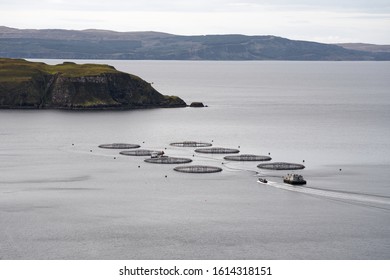 Fishing Aquaculture On The Isle Of Skye In Scotland