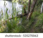 fishing area