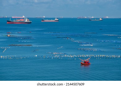 Fishing Boat At Buoys Floating Of Green Mussel Rope Farm On Sea With Cargo Oil Ships At Siracha Or Sriracha, Chonburi, Thailand.