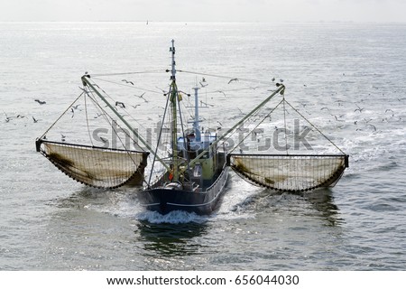 Fishing boat dragging a net through the water of the Waddensea, The Netherlands. Lots of seagulls