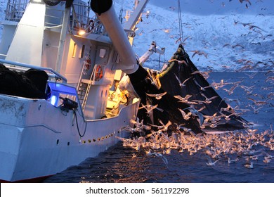 fishing boat fishing for herrings in Kaldfjord, Tromso, Norway, Atlantic Ocean