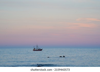 Fishing Boat Moored In Bay At Sunset In Kaikoura, New Zealand.