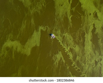 Fishing Boat On Green Water, Aerial Drone View. Algae Bloom In The River, Green Pattern On The Water.