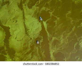 Fishing Boat On Green Water, Aerial Drone View. Algae Bloom In The River, Green Pattern On The Water.