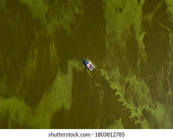 Fishing Boat On Green Water, Aerial Drone View. Algae Bloom In The River, Green Pattern On The Water.