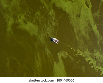 Fishing Boat On Green Water, Aerial Drone View. Algae Bloom In The River, Green Pattern On The Water.