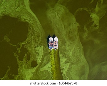 Fishing Boat On Green Water, Aerial Drone View. Algae Bloom In The River, Green Pattern On The Water.