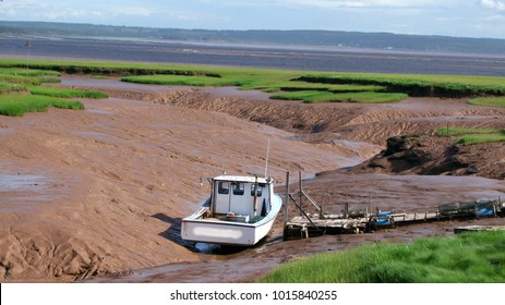 Fishing Boat On Mud Flats, Bay Of Fundy 