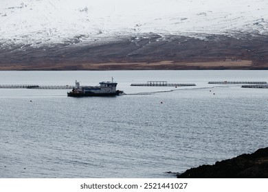 Fishing boat on serene Icelandic waters with a snow-capped mountain backdrop. - Powered by Shutterstock