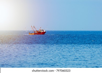 Fishing boat of red color in the open sea, surrounded by birds and lit by the sun.
