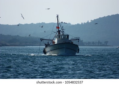 A fishing boat is returning to the coast of Cunda Island,  Balikesir Turkey.