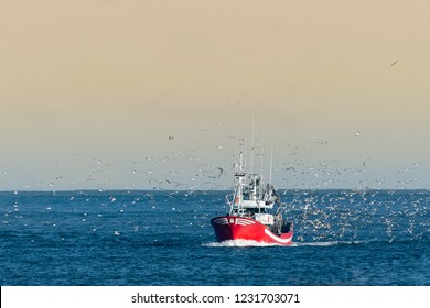 Fishing boat returning with lots of seagulls feeding at the rear of the boat