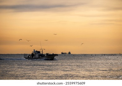 A fishing boat sails across a calm sea during sunset, casting a golden hue over the water. Seagulls soar in the sky, enhancing the serene and picturesque atmosphere. - Powered by Shutterstock