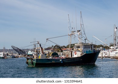 Fishing Boat In The San Diego Harbor