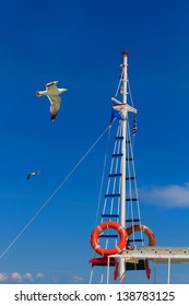 Fishing boat and sea gull in Greece