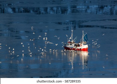 Fishing boat and seagulls in the north waters. Photo made in february on the Lofoten islands