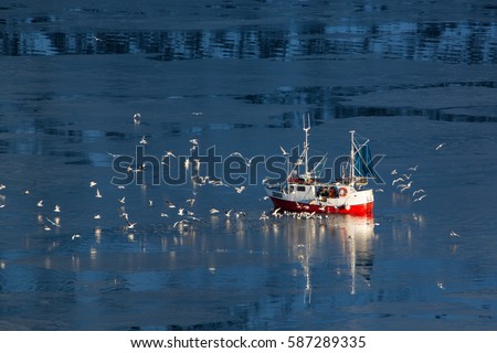 Fishing boat and seagulls in the north waters. Photo made in february on the Lofoten islands