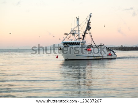 Fishing boat trawler entering harbor at Ventura at dawn with lights and birds following