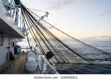 Pesca en barco de pesca de atún durante el amanecer. Operación de pesca