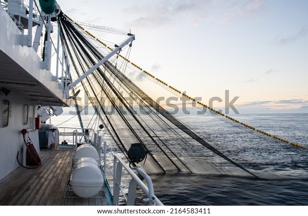 Fishing boat fishing for tuna fish during\
sunrise. Fishing\
operation