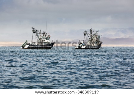 fishing boats in the bay of the Pacific Ocean