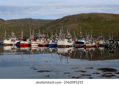 Fishing boats docked in the harbor at Skarsvåg, Finnmark, Norway, with calm waters reflecting the vessels and surrounding rugged green hills under a cloudy sky. A serene maritime scene - Powered by Shutterstock