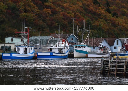 Fishing Boats moored to the dock in Marina of Petty Harbor ? Maddox Cove located on the East Shore of Avalon Peninsula in Newfoundland deep in Motion Bay of Atlantic Ocean in October. 