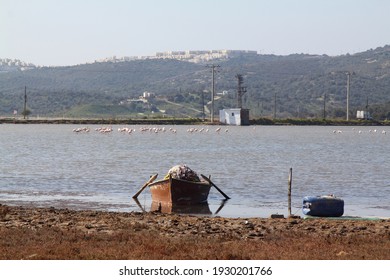 Fishing Boats On The Lake. Bodrum, Mugla , Turkey