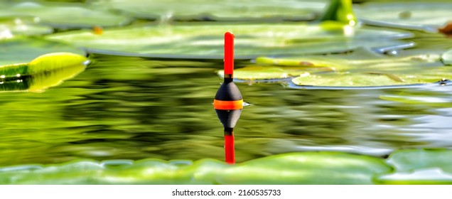 Fishing Bobber In The Forest Lake Among Water Lily Leaves. Angling Tackle With A Bobber In The Water On The River