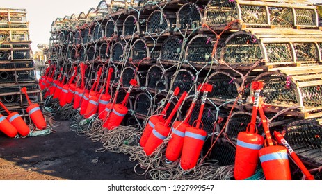 fishing buoys and lobster traps