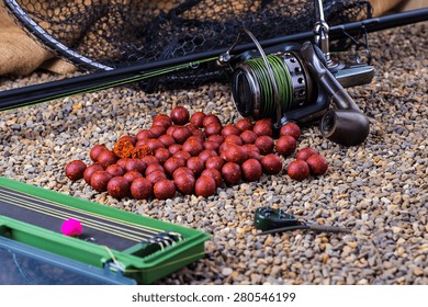 carp fishing boilies