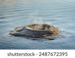 The Fishing cone geyser in Yellowstone Lake at Yellowstone National Park