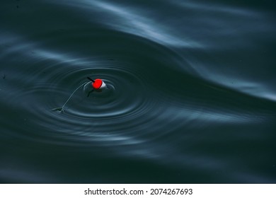fishing cork floats on the water surface