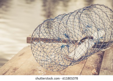 Fishing Crayfish