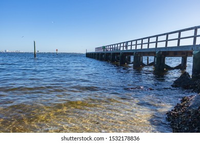 Fishing Dock Tampa Bay Area