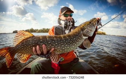 in fisherman freshwater trophies download