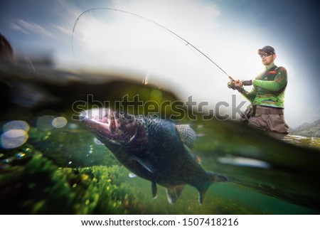 Fishing. Fisherman and trout, underwater view.