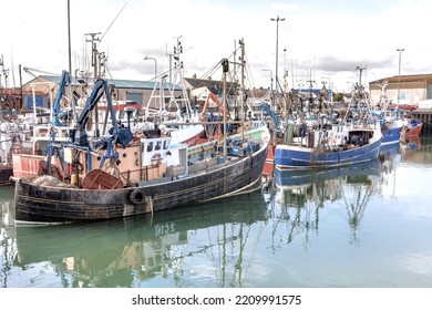 The Fishing Fleet At Portavogie Harbour County Down, Northern Ireland