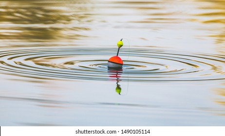 A fishing float floats on the water of the lake making circles in the water
 - Powered by Shutterstock