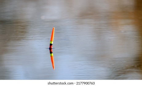 Fishing float on the surface of the water