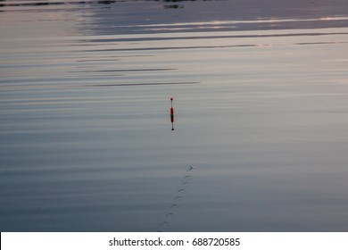 Fishing float in the water