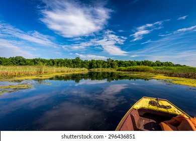 Fishing From A Kayak On A Small Lake In Serbia. Special Reserve Of Nature, Obedska Bara, Serbia / Enjoying The Sunny Day On A Lake