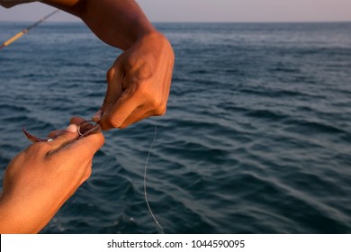 Fishing live bait, hooking a live squid into the fishing hook line 
 - Shutterstock ID 1044590095