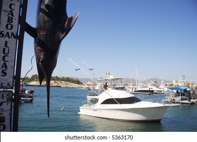 Fishing In Los Cabos, Baja California Sur, Mexico