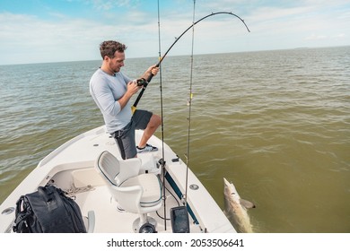 Fishing Man Sport Fishing Spinner Shark On Catch Release Fish Activity Boat Tour Pulling Line. Fisherman Outdoor In Everglades, Florida. Summer Leisure Recreation.