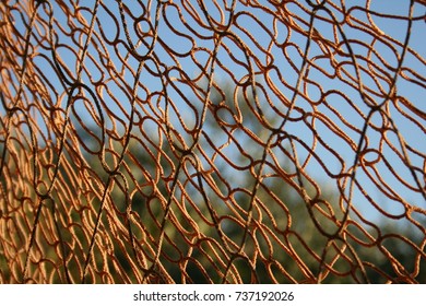 fishing net 