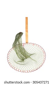 Fishing Net  On White Background