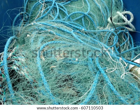 Similar – Image, Stock Photo Fritz F. is off today Net