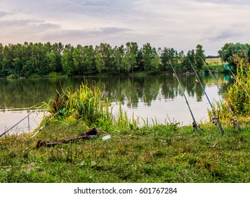 Fishing On Pond. Lake